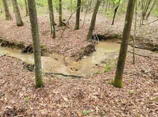 0 Patrick Rd, Mc Call Creek, MS 39647