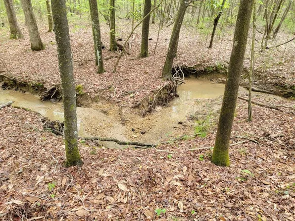 0 Patrick Rd, Mc Call Creek, MS 39647