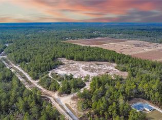 4521 W Gallagher St, Dunnellon, FL 34433