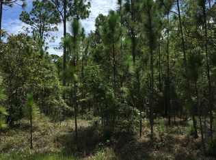 1680 Reidsville Rd, Boiling Spring Lakes, NC 28461