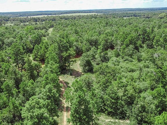 3rd image of 180 County Road 2320
