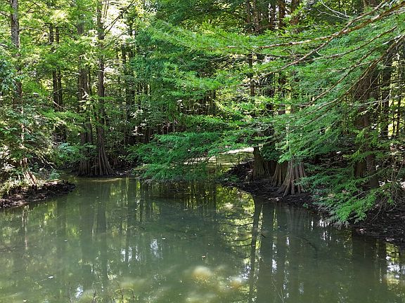 65th image of this home