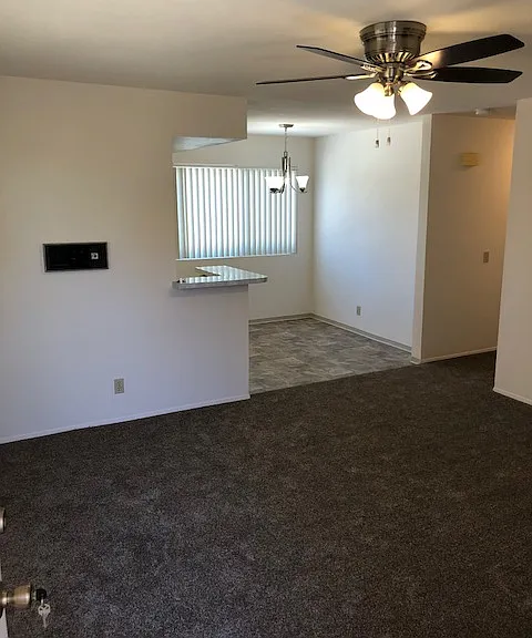 3937 Texas St #8 — Photo 11