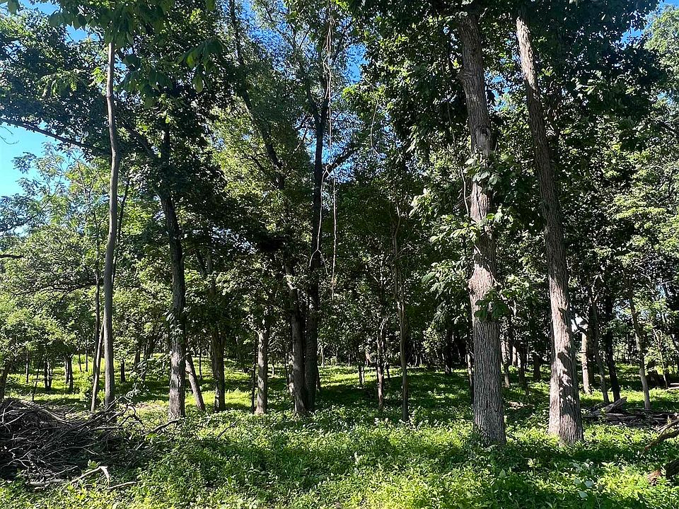 2nd image of 25226 Adams Rd