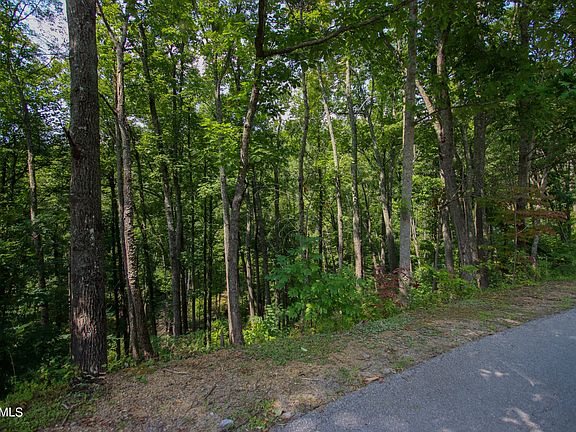 3rd image of 19 Pine Top Ln
