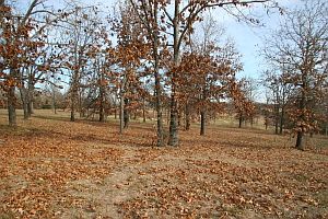 1st image of 37 Acres Lot 1-5