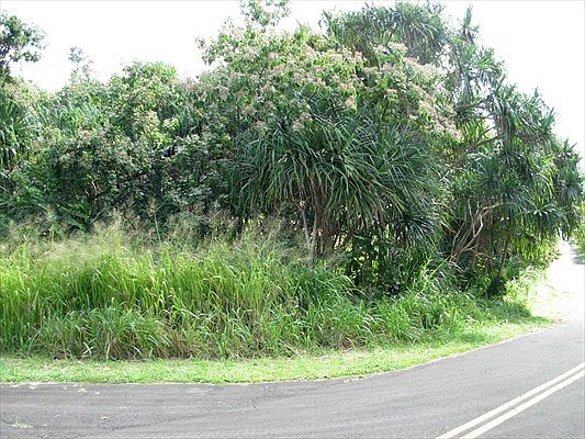 4th image of Wehelauniu St