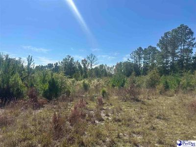 Hallelujah Rd, Mount Croghan, SC, 29727