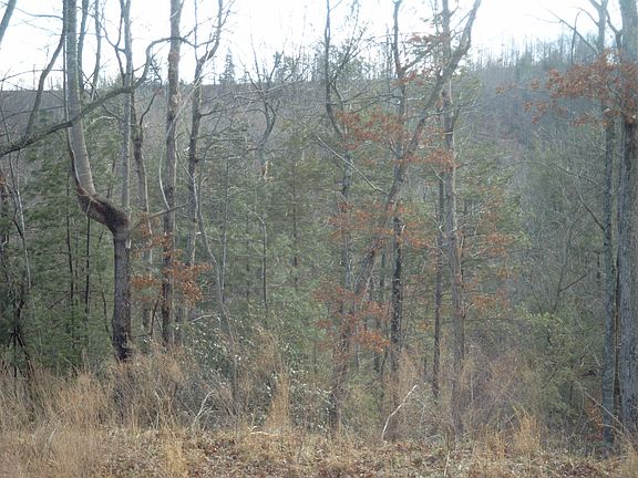 2nd image of Lot 27 Majestic Mountain