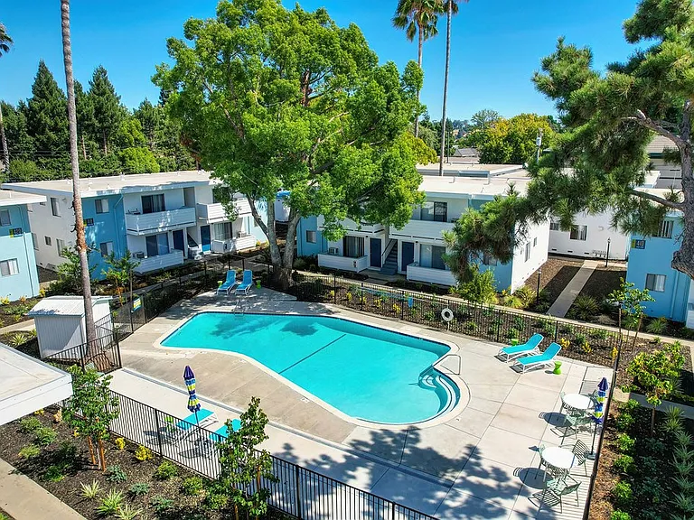 The Camellia on Buck | Pool