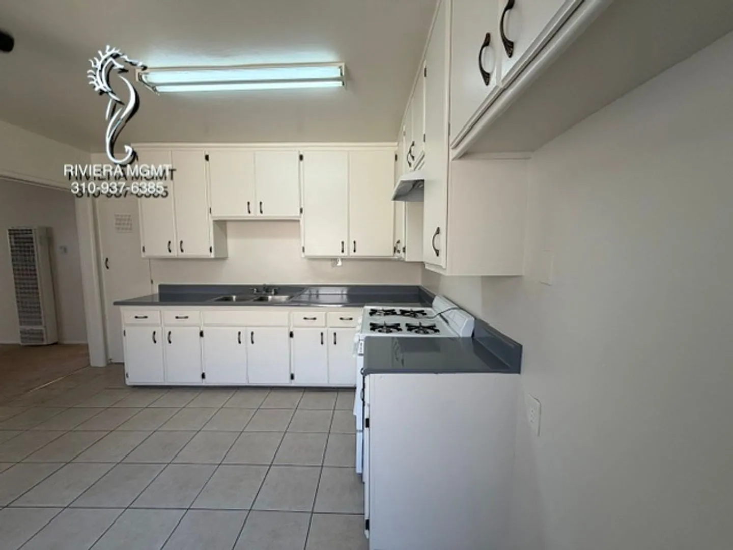 335 — Photo 2