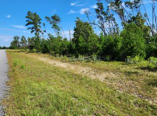 12564 NW Telogia Creek Dr, Bristol, FL 32321