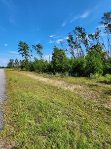 12564 NW Telogia Creek Dr, Bristol, FL, 32321