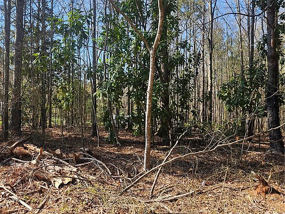 2nd image of 0 Hunter Mill Rd