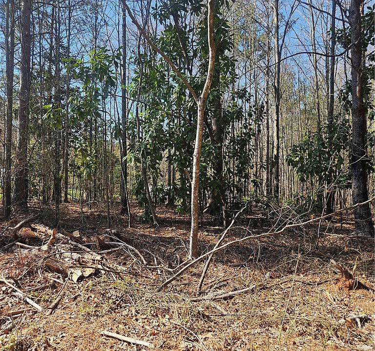 2nd image of 0 Hunter Mill Rd