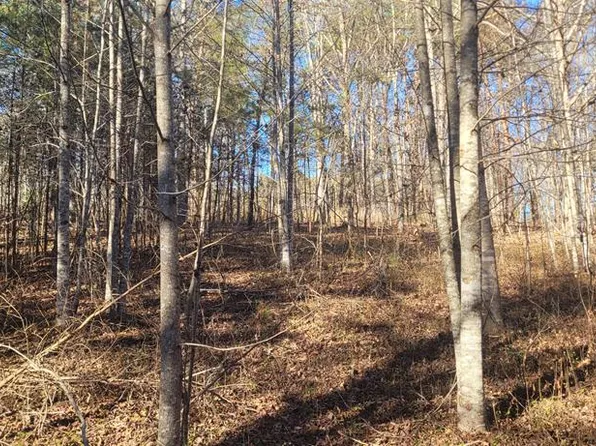 0 Avery Scroggs Rd, Hayesville, NC 28904