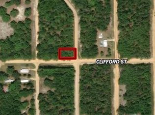 17 Evans Ave LOT 8, Interlachen, FL 32148