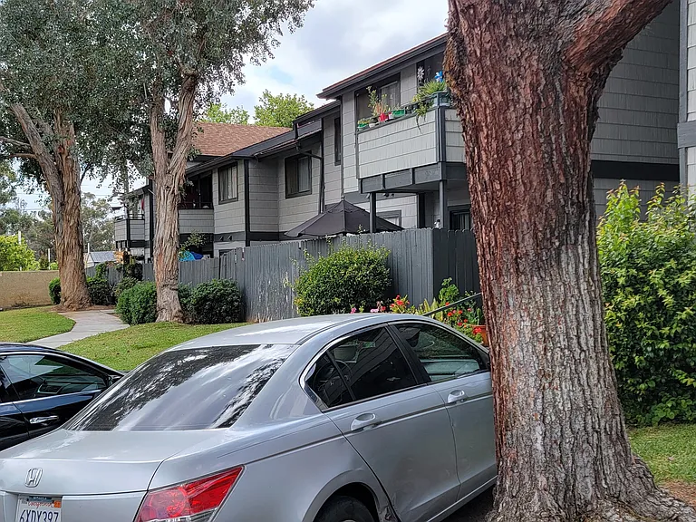Apartment buildings surrounded by hills and mature trees at Dove Ridge Apartments.