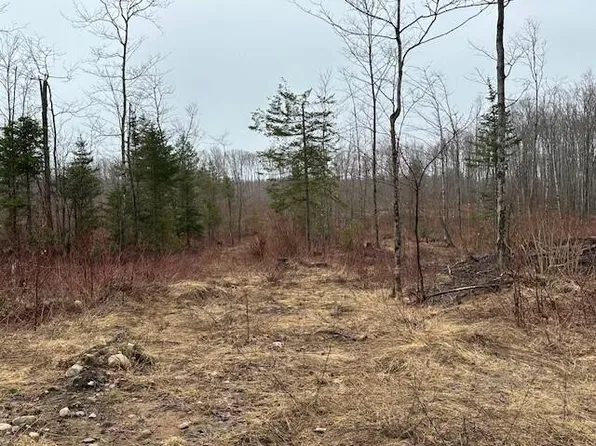 M/l W Pendills Lake Rd, Brimley, MI 49715