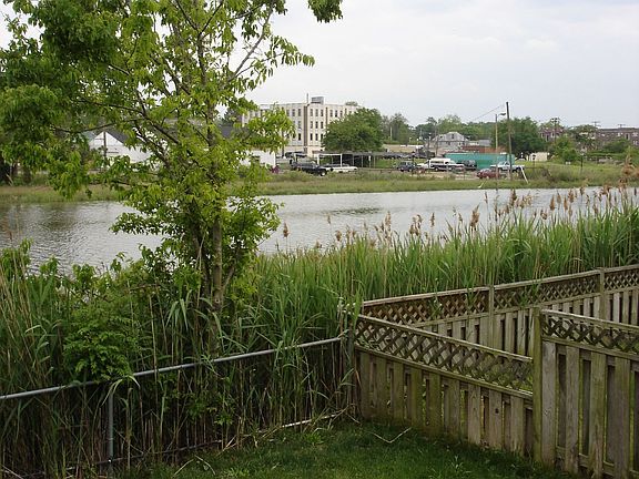 Water view