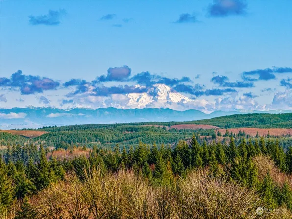 0 Lot R Olequa Heights Road, Castle Rock, WA 98611