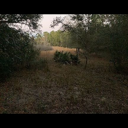 view from open lot