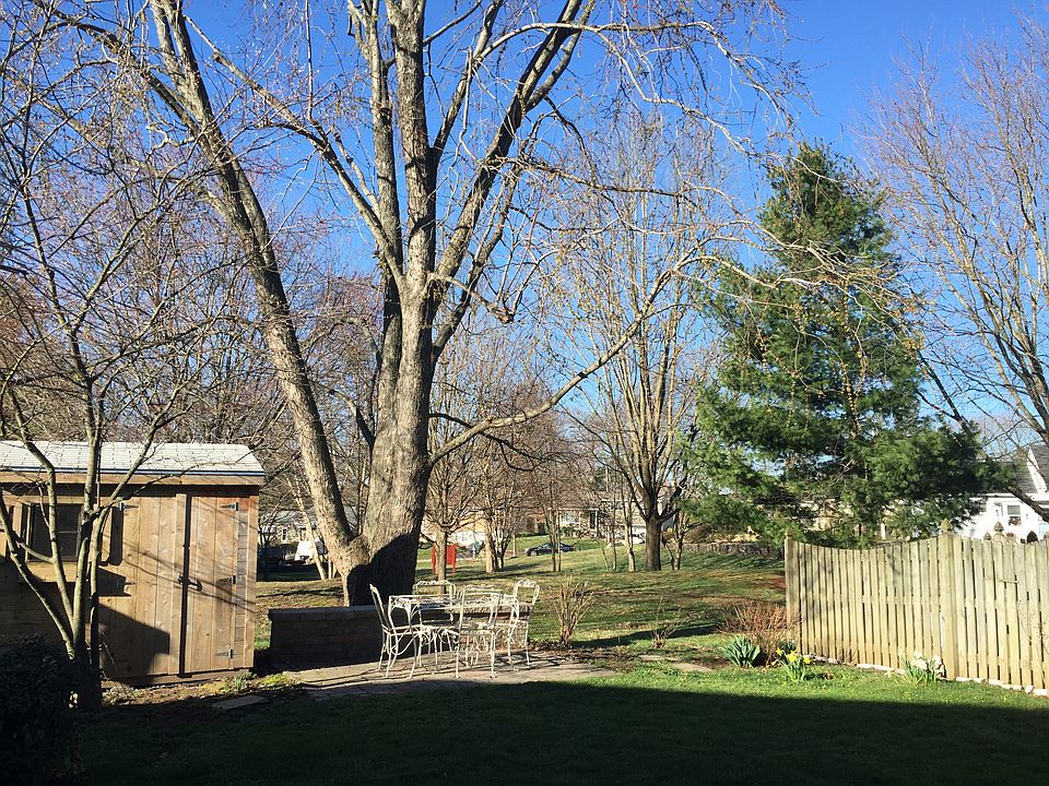Back yard facing the park