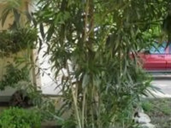 2203 Granberry Dr, Austin, TX 78745