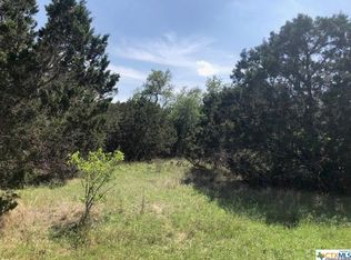 168 Remington Rd, Spring Branch, TX 78070