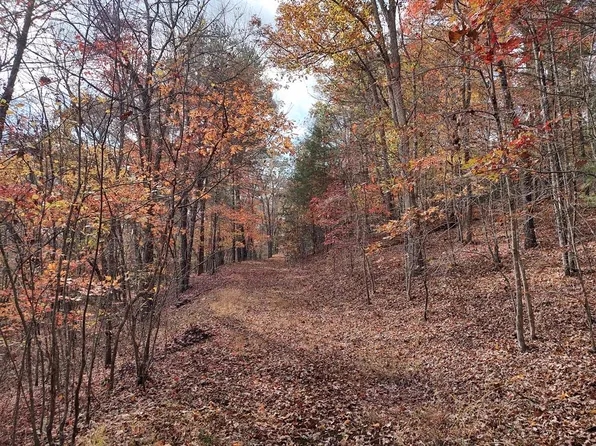 LT Six #&-7, Mineral Bluff, GA 30559