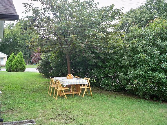 Family Picnic Area Next to Patio with Grill!
