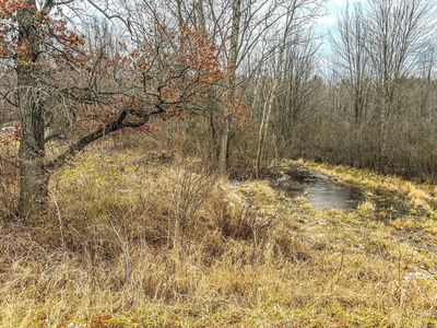 Coon Hill Rd, Munith, MI, 49259