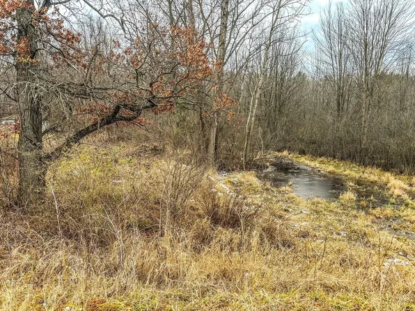 Coon Hill Rd, Munith, MI 49259