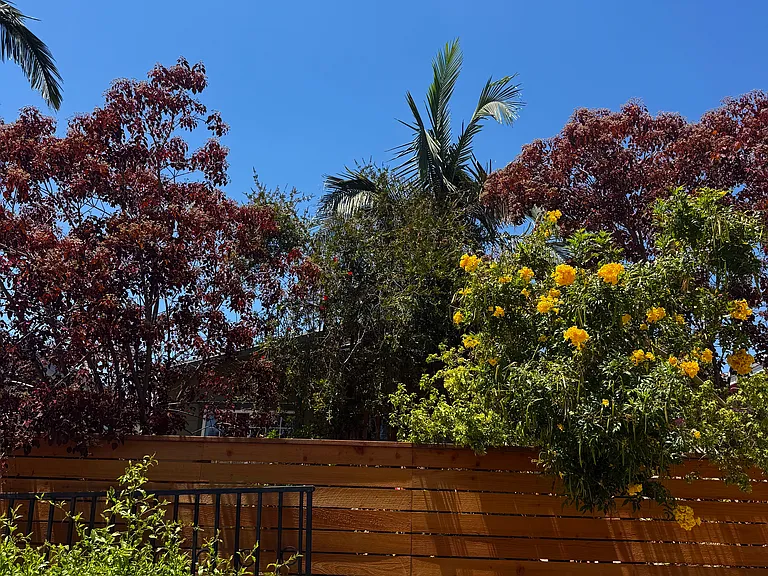 3005 Asbury St — Photo 4