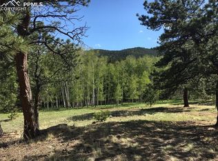 173 Badger Cir, Lake George, CO 80827