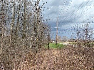 2nd image of 0 Cattail Rd