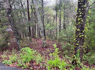 LOT 1 Mountain View Ln, Pigeon Forge, TN 37863