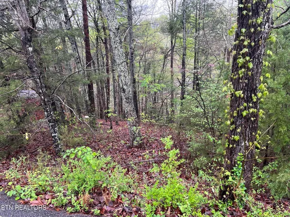 LOT 1 Mountain View Ln, Pigeon Forge, TN 37863
