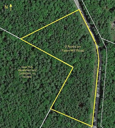 5 acres of undeveloped land