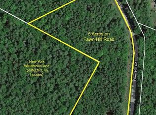 Fawn Hill Rd, Prattsville, NY 12468