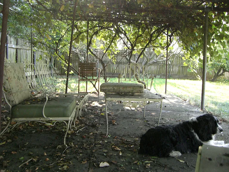 Primrose Dr — Photo 24