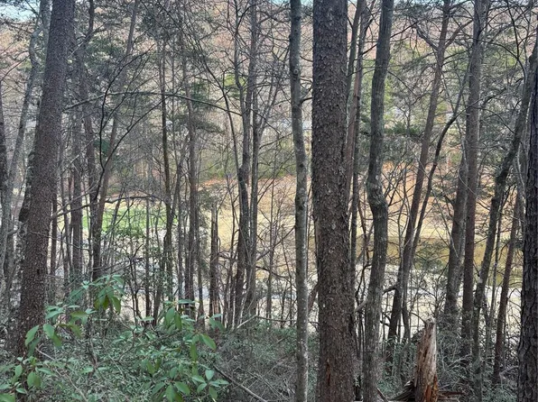 LOT 20 Nicklaus Ln Lot 20, Lake Lure, NC 28746