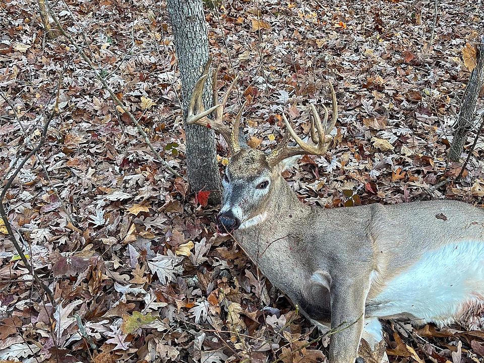 1st image of 0 Bucks Crossing Ln