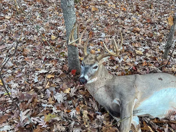 0 Bucks Crossing Ln, Richwoods, MO 63071