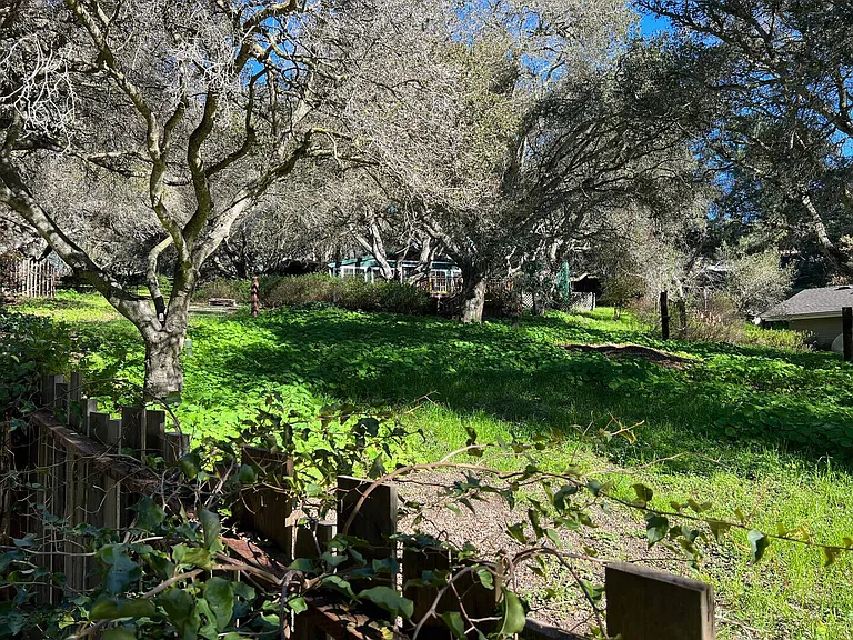 Hambey Ln — Photo 30