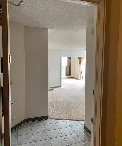 2442 Kuhio Ave #1103 — Photo 3