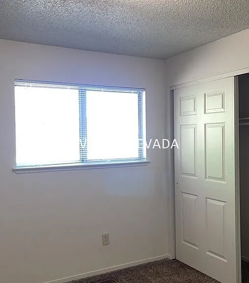 6675 Peppermint Dr — Photo 15