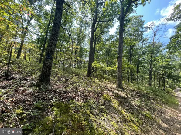 High Germany Rd, Little Orleans, MD 21766