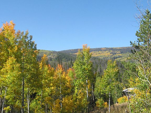 3rd image of Tbd Overland Trl