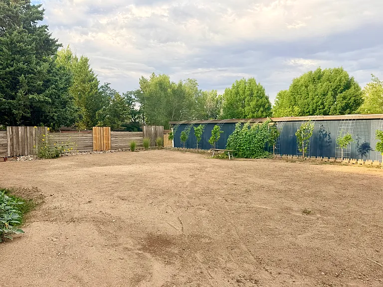 3910 Nut Tree Ln — Photo 13